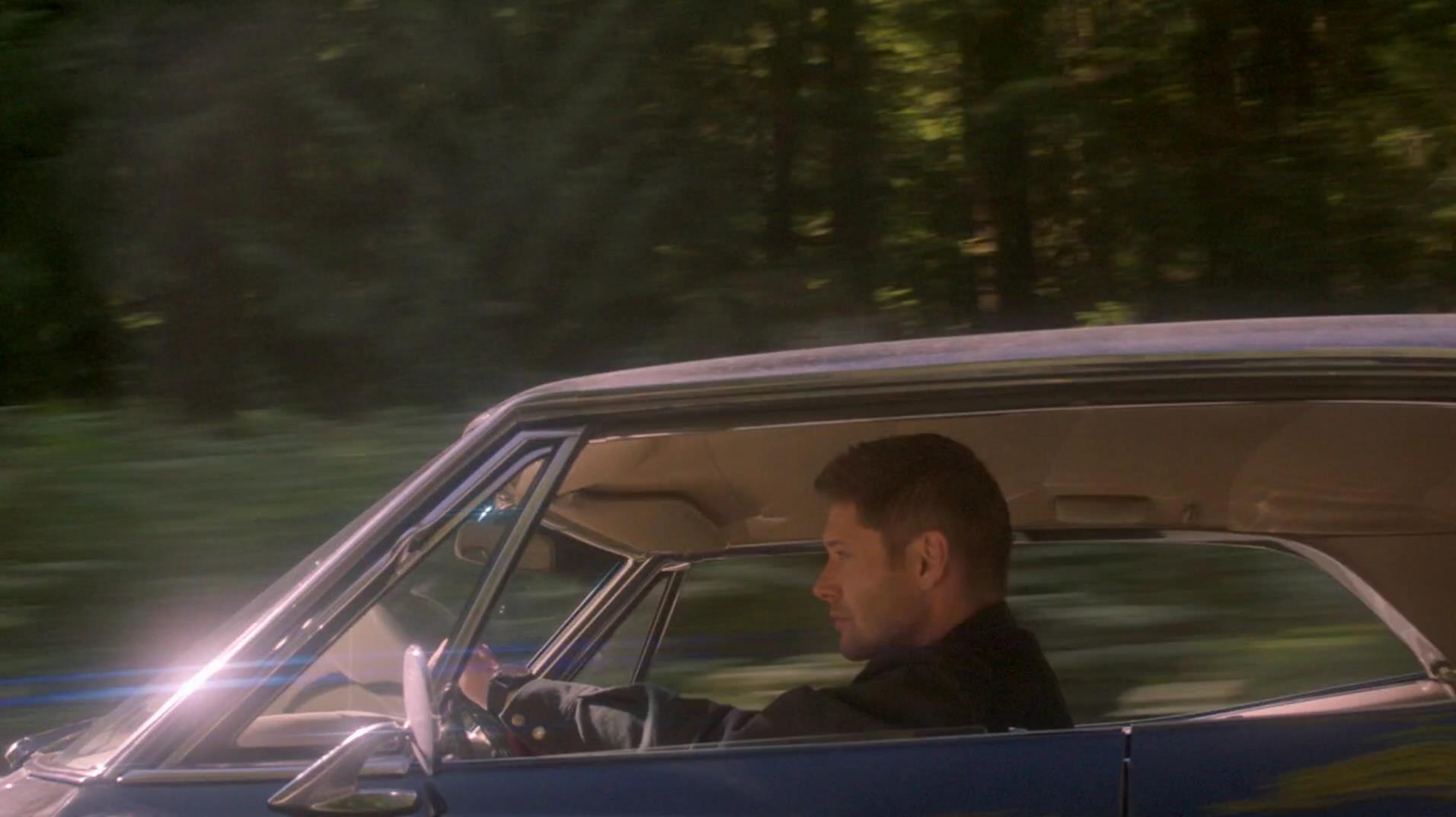 SPN_1834.jpg