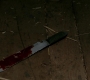 Filename=SPN_0822.jpg
Filesize=117KiB
Dimensions=1912x1072
Date added=Oct 01, 2021 SPN_0822.jpg