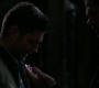 SPN_1037.jpg