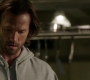 SPN_1364.jpg