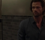 SPN_1390.jpg