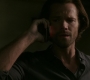 SPN_1495.jpg