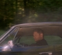 SPN_1833.jpg