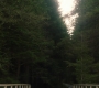 Filename=SPN_1968.jpg
Filesize=163KiB
Dimensions=1912x1072
Date added=Oct 01, 2021 SPN_1968.jpg