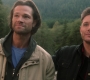 Filename=SPN_2024.jpg
Filesize=127KiB
Dimensions=1912x1072
Date added=Oct 01, 2021 SPN_2024.jpg