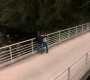 Filename=SPN_2045.jpg
Filesize=215KiB
Dimensions=1912x1072
Date added=Oct 01, 2021 SPN_2045.jpg