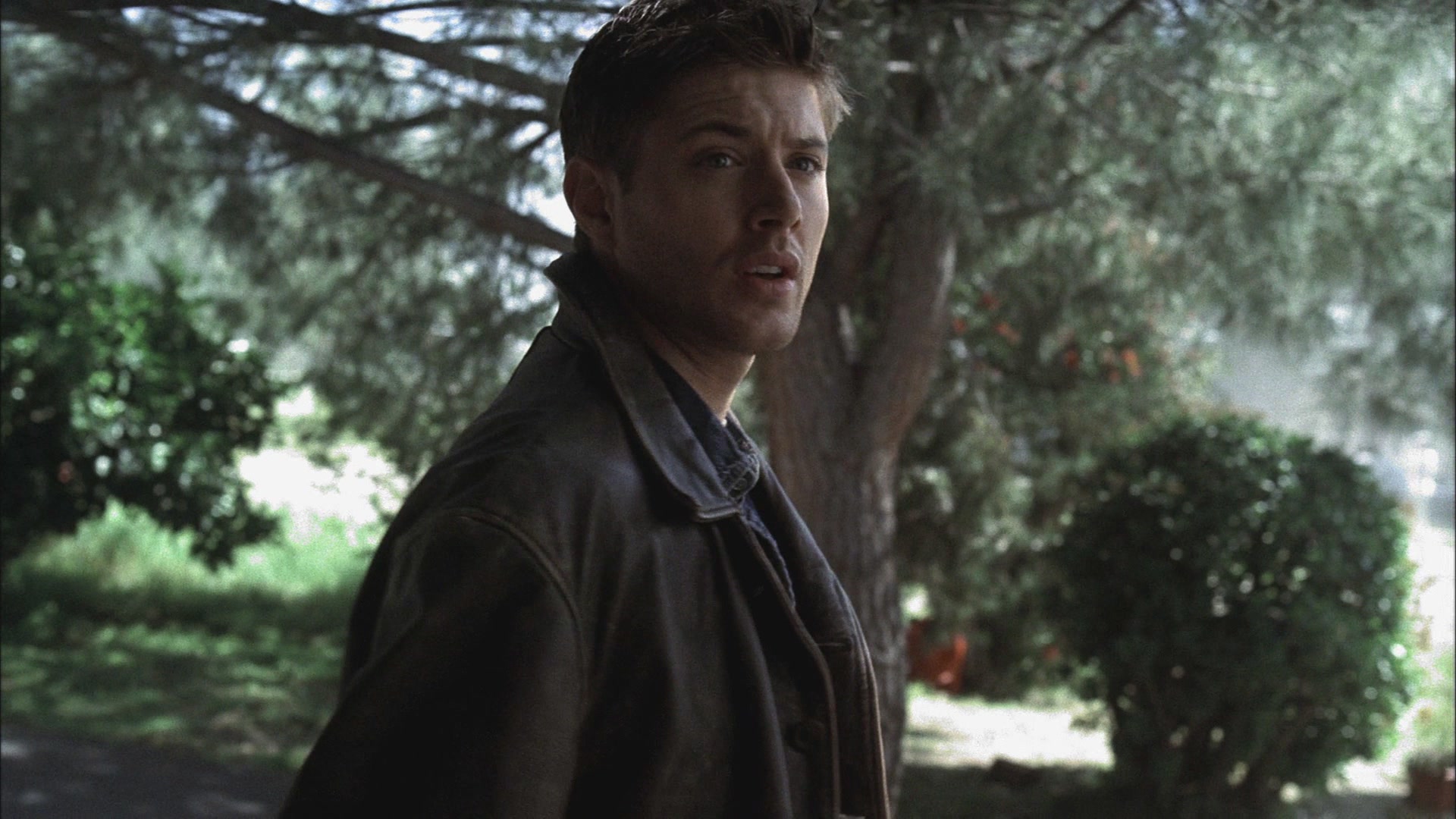 SPN_0734.jpg