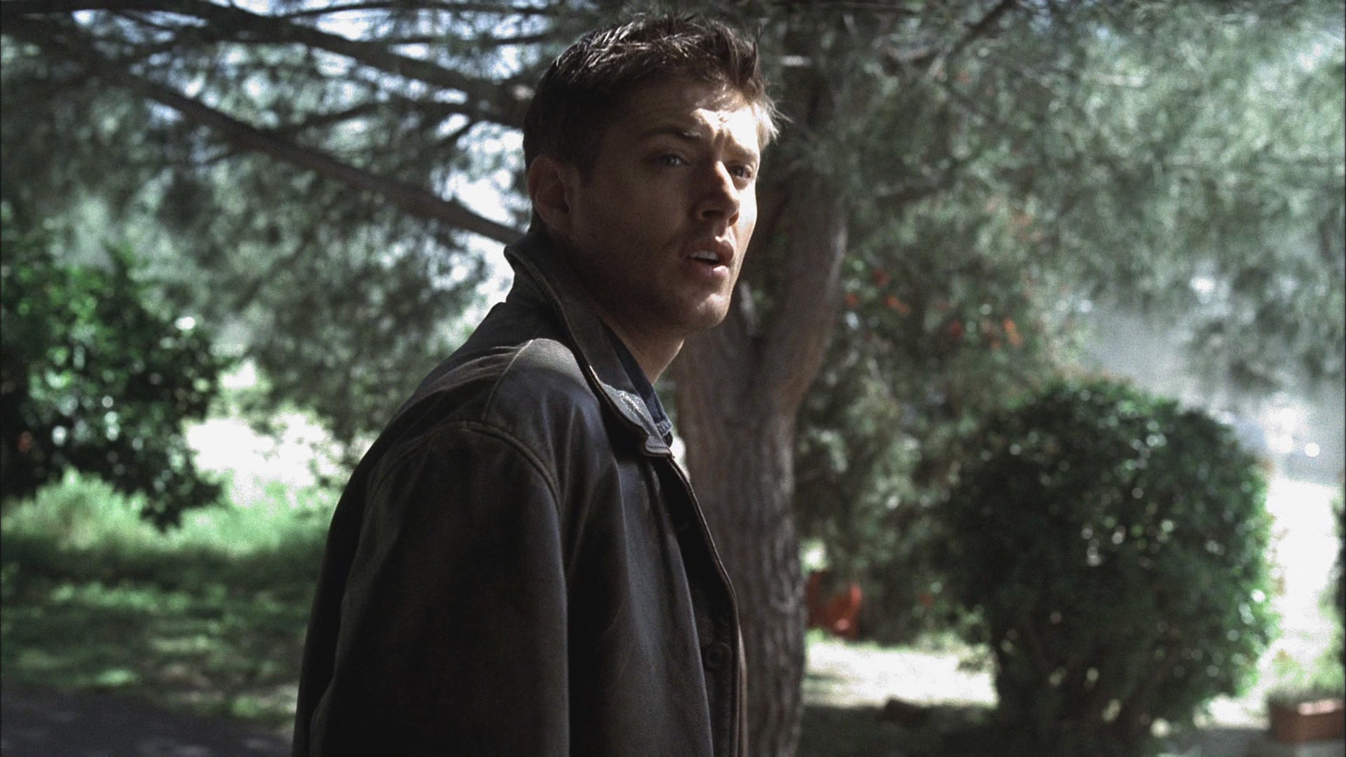 SPN_0735.jpg