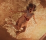 Filename=SPN_0065.jpg
Filesize=313KiB
Dimensions=1920x1080
Date added=Sep 28, 2021 SPN_0065.jpg
