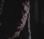 SPN_0217.jpg