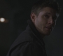 SPN_0310.jpg