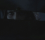 SPN_0391.jpg