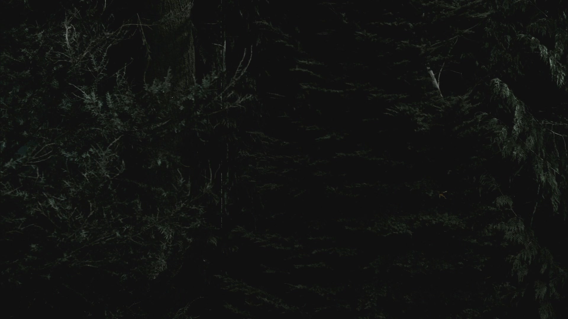 SPN_0025.jpg