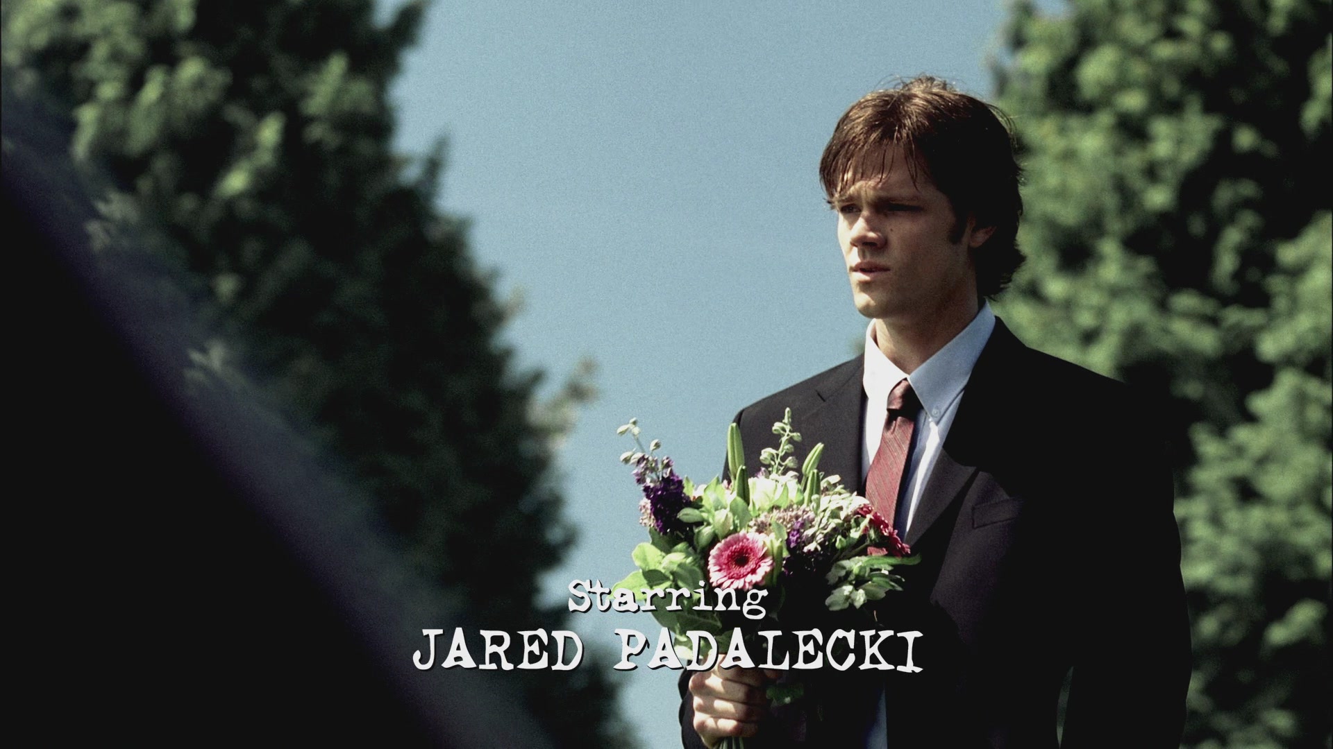 SPN_0052.jpg