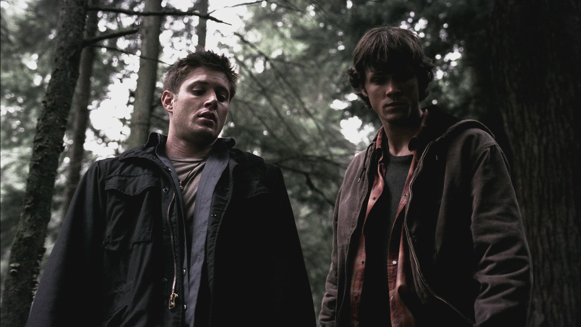 SPN_0522.jpg