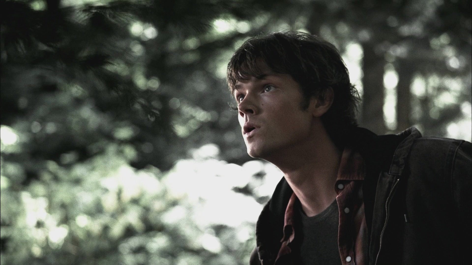 SPN_0550.jpg