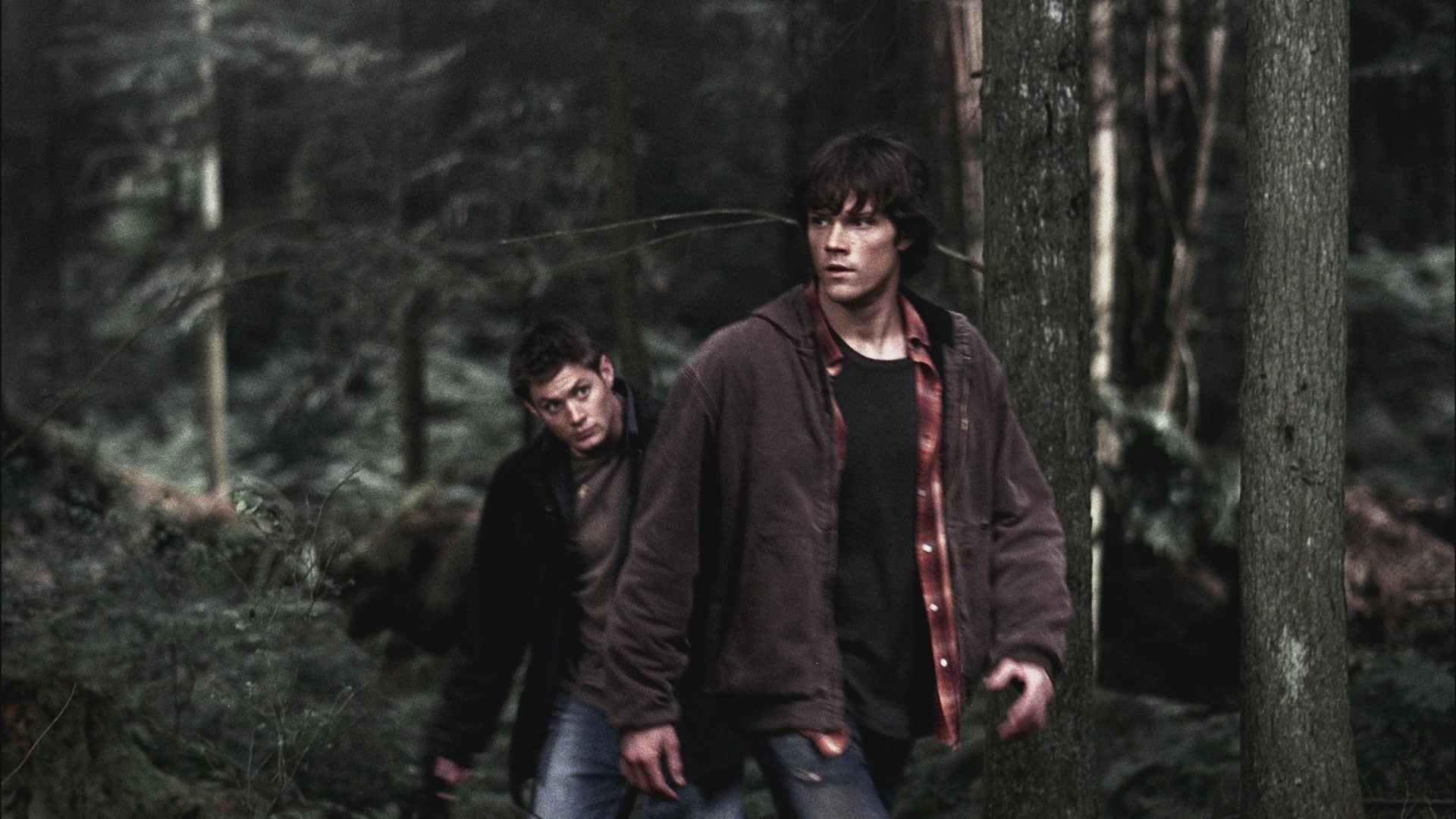 SPN_0565.jpg