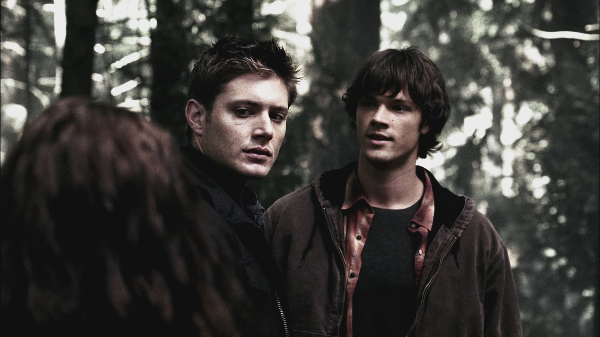 SPN_0608.jpg