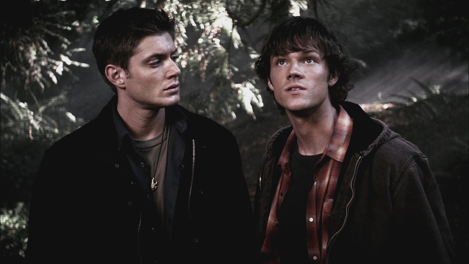 SPN_0785.jpg