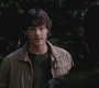 SPN_0184.jpg