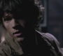 SPN_0266.jpg