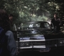 SPN_0387.jpg