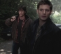 SPN_0390.jpg