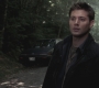SPN_0393.jpg