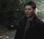 SPN_0396.jpg
