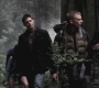 SPN_0425.jpg