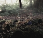 SPN_0434.jpg