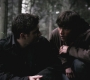 SPN_0519.jpg