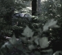 SPN_0539.jpg
