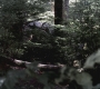 SPN_0548.jpg