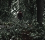 SPN_0552.jpg