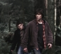 SPN_0565.jpg