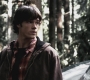 SPN_0593.jpg