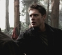 SPN_0605.jpg