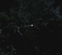 SPN_0702.jpg