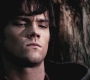 SPN_0709.jpg
