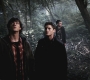 SPN_0773.jpg