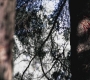 SPN_0775.jpg