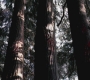 SPN_0778.jpg