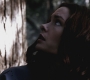 SPN_0795.jpg