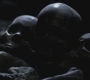 SPN_0853.jpg