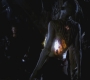 SPN_0985.jpg