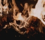 SPN_0993.jpg