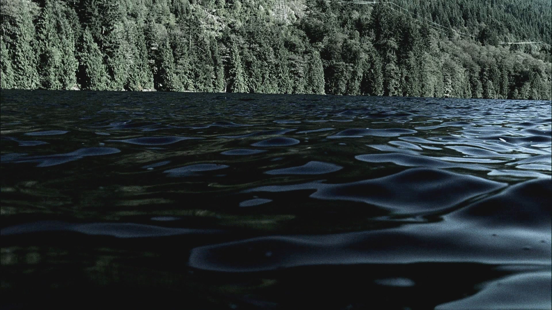 SPN_0028.jpg