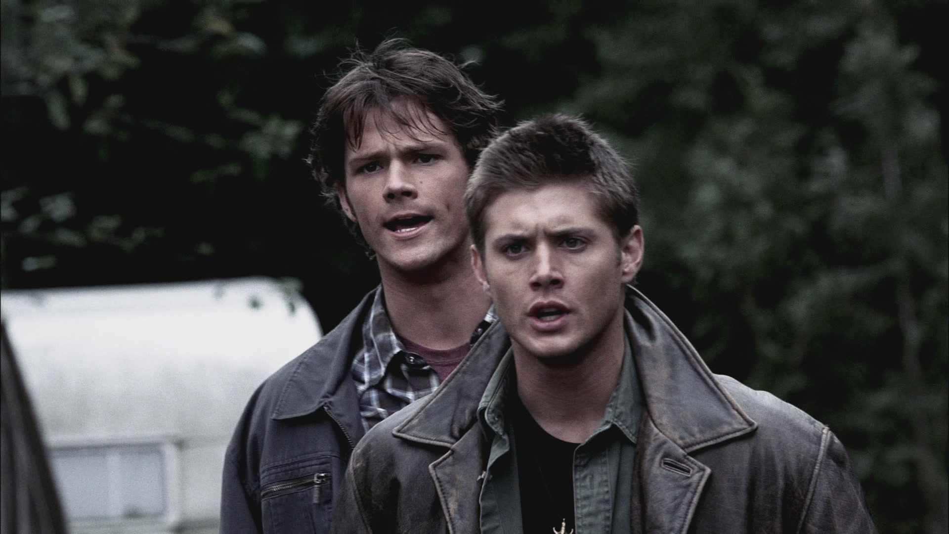 SPN_0683.jpg