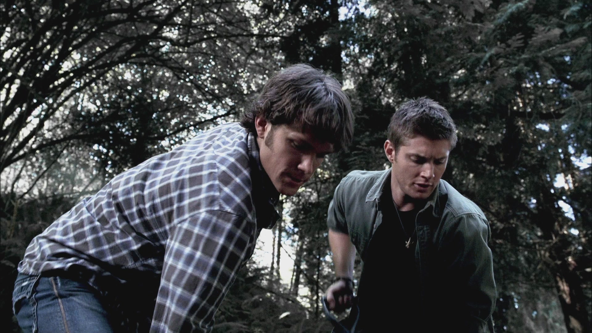 SPN_0903.jpg